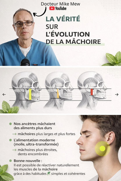 Eclore Gums - Routine mâchoire sculptée